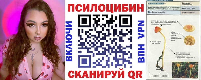 где можно купить наркотик  Алапаевск  Галлюциногенные грибы GOLDEN TEACHER 
